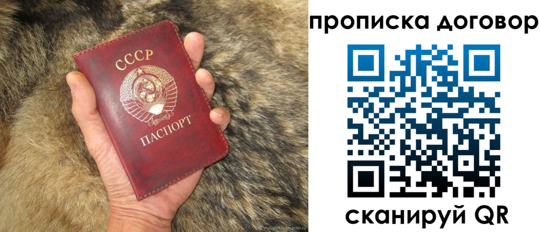 прописка регистрация в Похвистнево